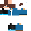 skin for Niko & Majki