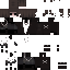 skin for Notza