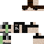 skin for Obamacare