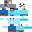 skin for Panda Pro 13