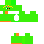 skin for parrot