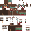 skin for Pearit2x