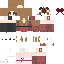 skin for persona