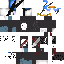 skin for Pirate duk