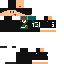 skin for player 456
