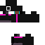 skin for police gaurd