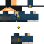 skin for Policjant Gplay