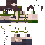 skin for Quiet
