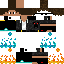 skin for RegSkinReady