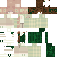 skin for reskinned
