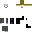skin for roblox noob