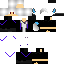 skin for Shadowblaze