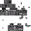 skin for Shining Kinght