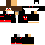 skin for Skin Gamer