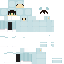 skin for skinformedia