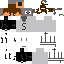 skin for SnakerSKIN 