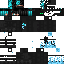 skin for Soul Hunter Enderman