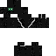 skin for Spy duck