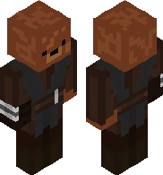 Starwars Bear