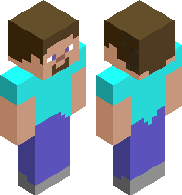 Steve 2D