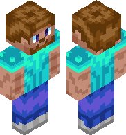 Steve upgrade