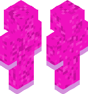 Super Bear adventure basic baarens brother 