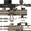 skin for Sweden military