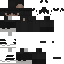 skin for Swisser