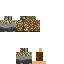 skin for Test