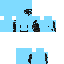 skin for The secret wither