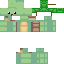 skin for turtle