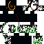 skin for Undead mage