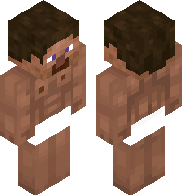 UPGRADED STEVE