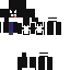 skin for Venom
