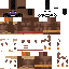 skin for vigilant_booth