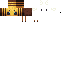 skin for warden