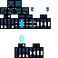 skin for Wardenet