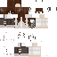 skin for Winter