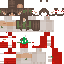 skin for winter girl