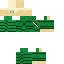 skin for Wood elf