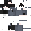 skin for Zyn.void